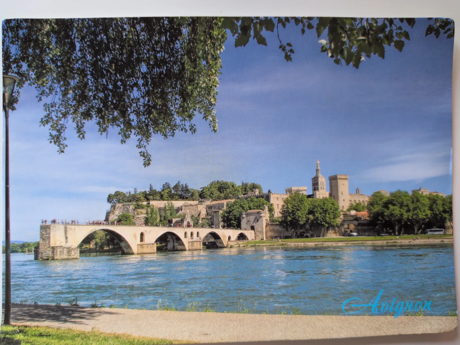 Das Bild zeigt den Fluss Rhône mit der Pont d'Avignon, die historische Stadt Avignon mit ihren Gebäuden und Bäumen unter blauem Himmel.