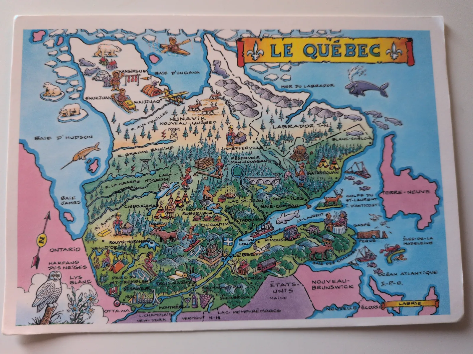 Eine farbenfrohe, cartoonartige Karte von Québec, die die Geografie, Tierwelt und typische Aktivitäten der Region illustriert.