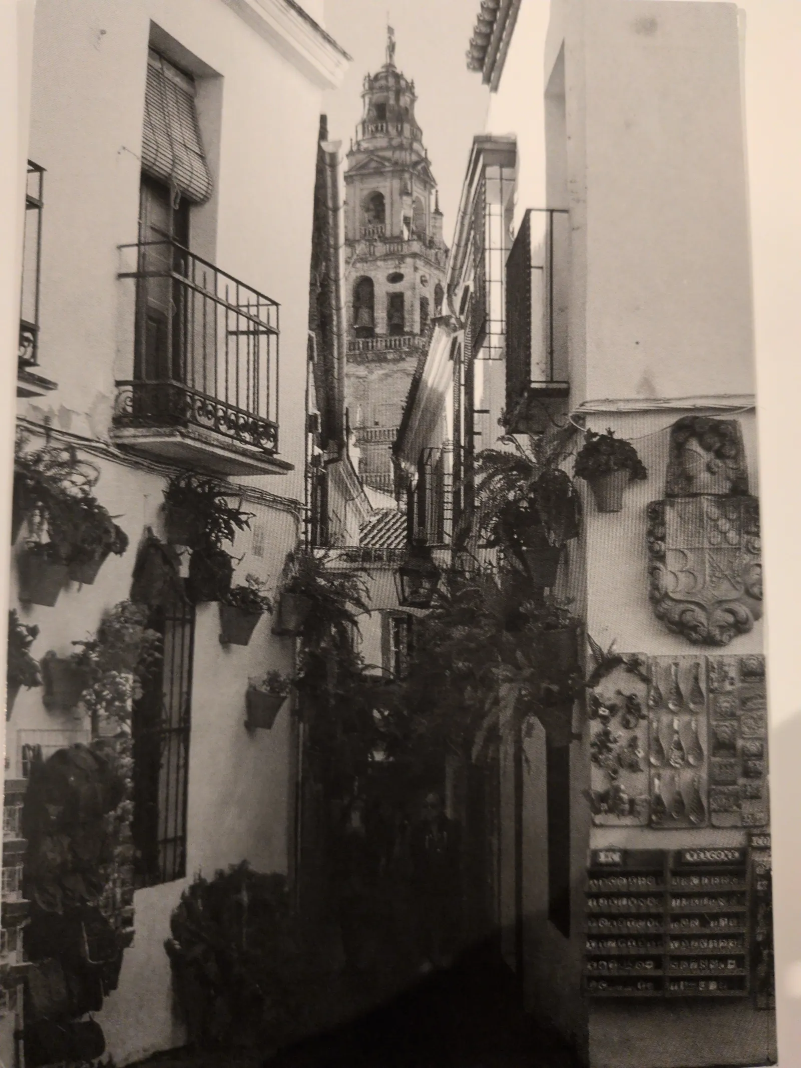 Schwarz-Weiß-Aufnahme einer engen, pflanzenbewachsenen Gasse zwischen weißen Häusern mit Balkonen, die auf einen hohen Glockenturm zuläuft.