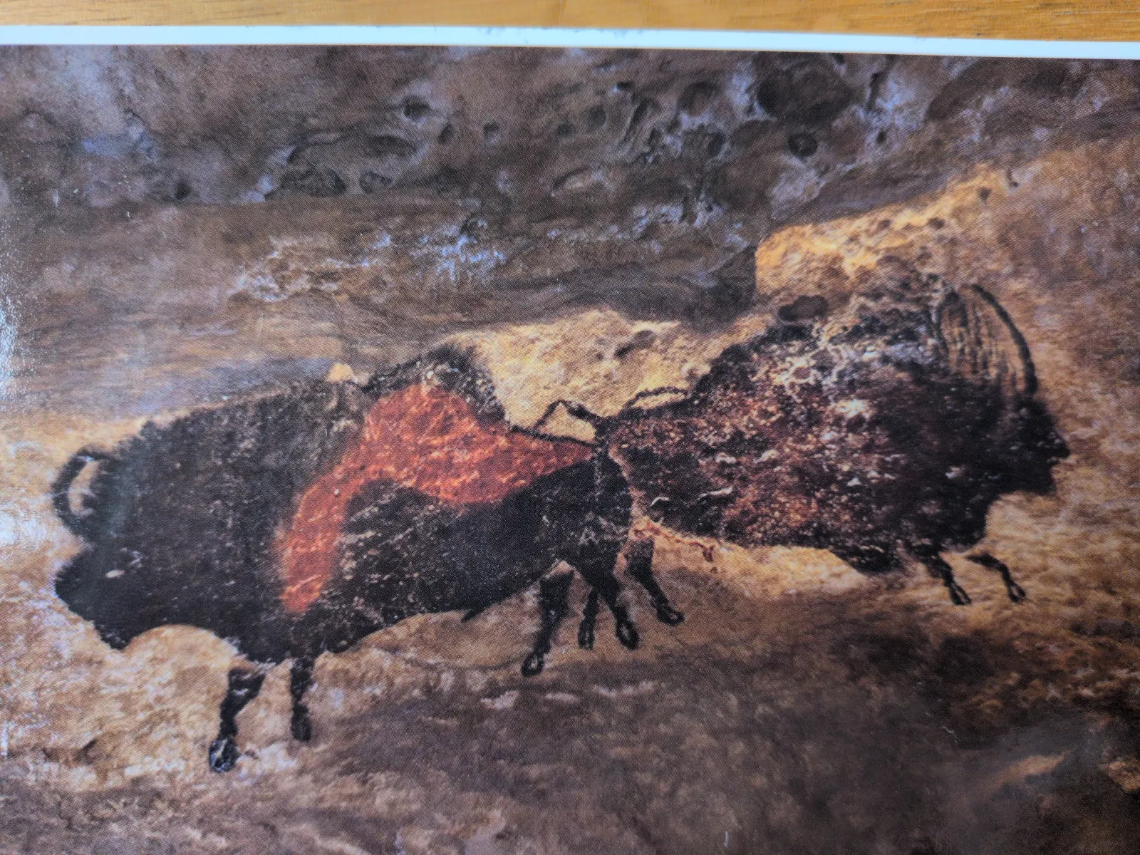 Eine Höhlenmalerei zeigt zwei dunkle Bisons auf einer braun-grauen Felswand, wobei der linke Bison eine rötliche Zeichnung auf dem Rücken hat.