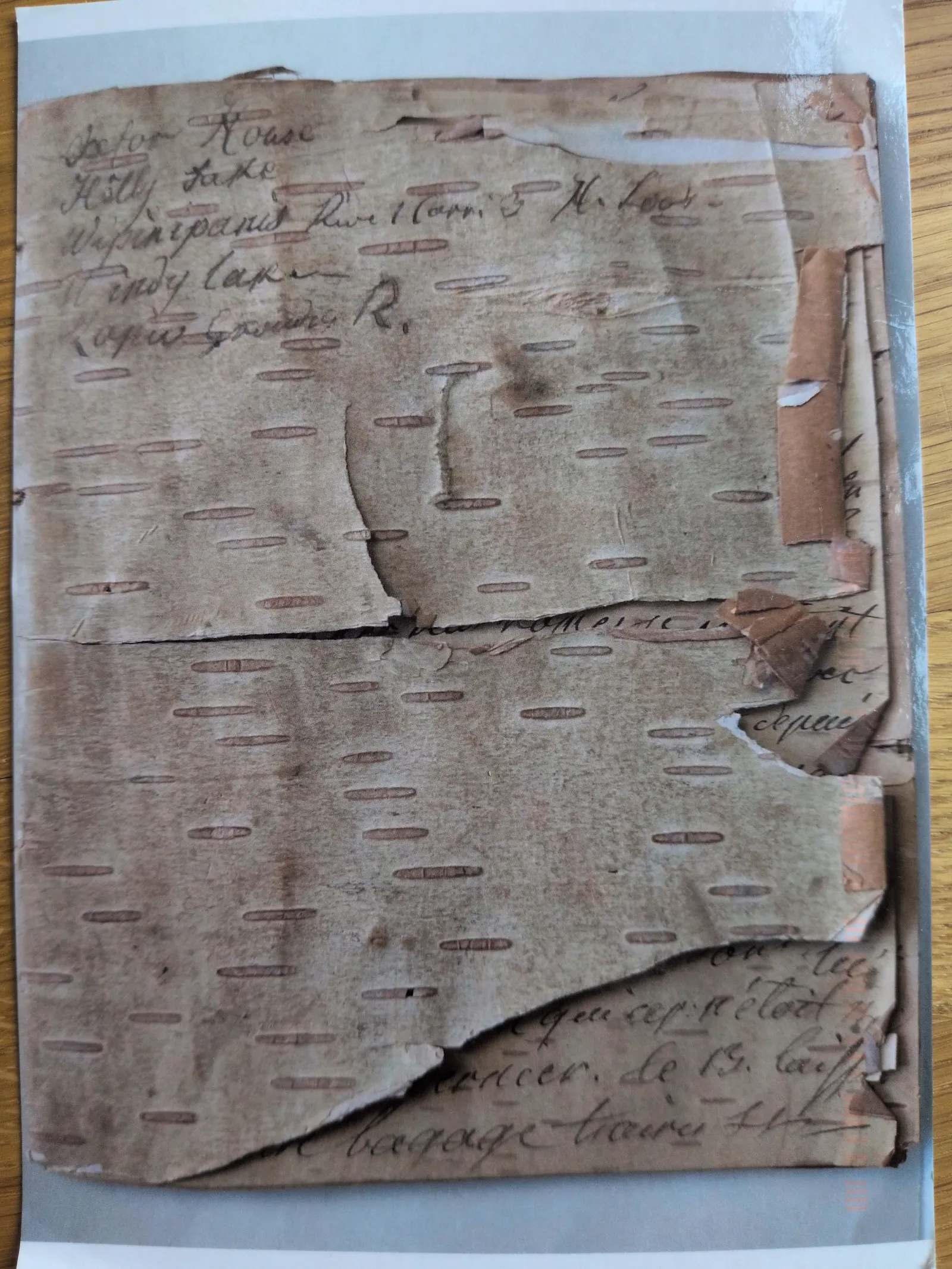 Das Bild zeigt ein altes, zerrissenes Stück Birkenrinde mit handschriftlichem Text.