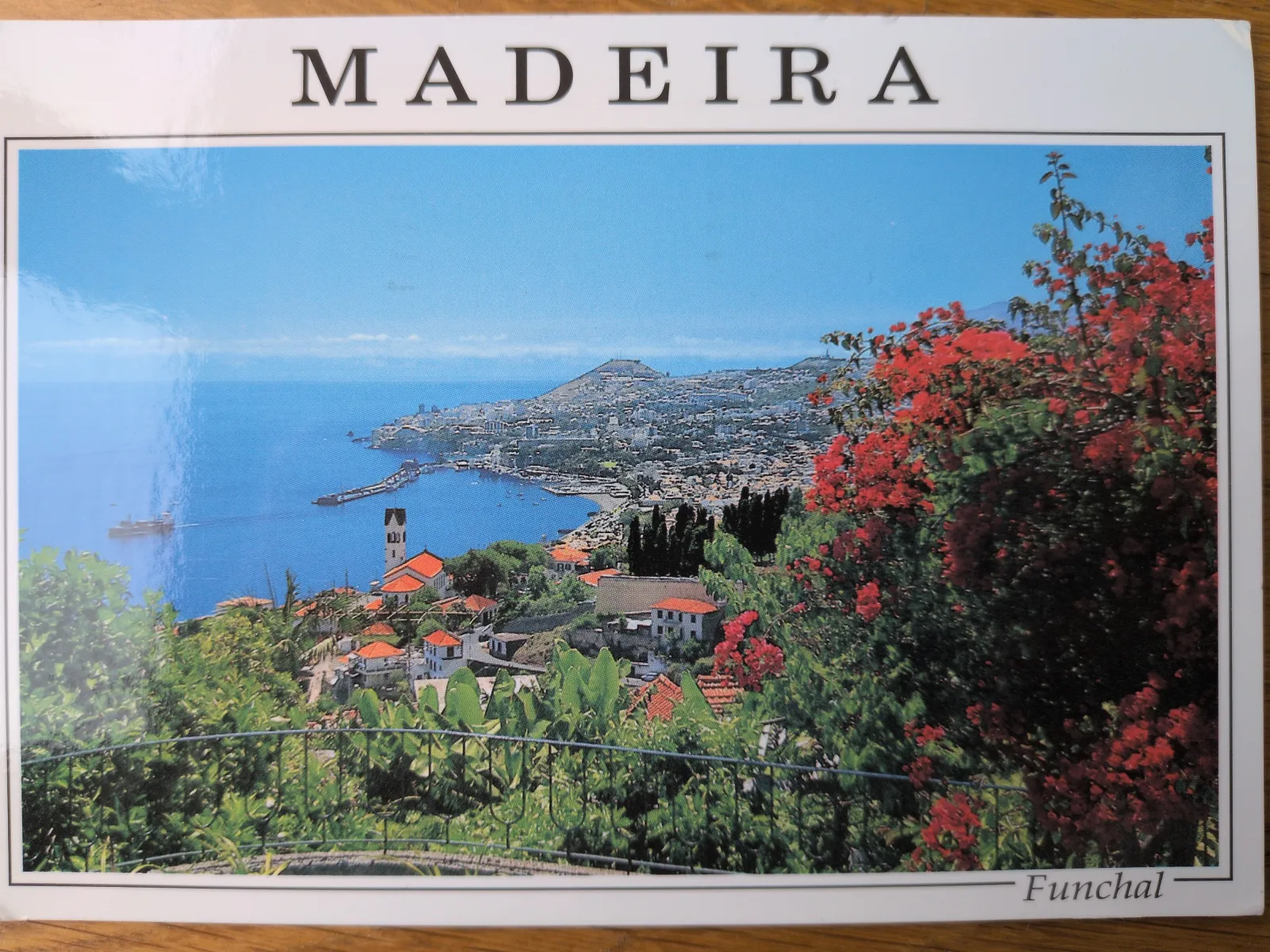 Ein Panoramablick auf die Küstenstadt Funchal auf Madeira zeigt weiße Häuser mit roten Dächern, die sich einen Hügel hinaufziehen, einen Hafen und das blaue Meer, eingerahmt von leuchtend roten Blüten im Vordergrund.