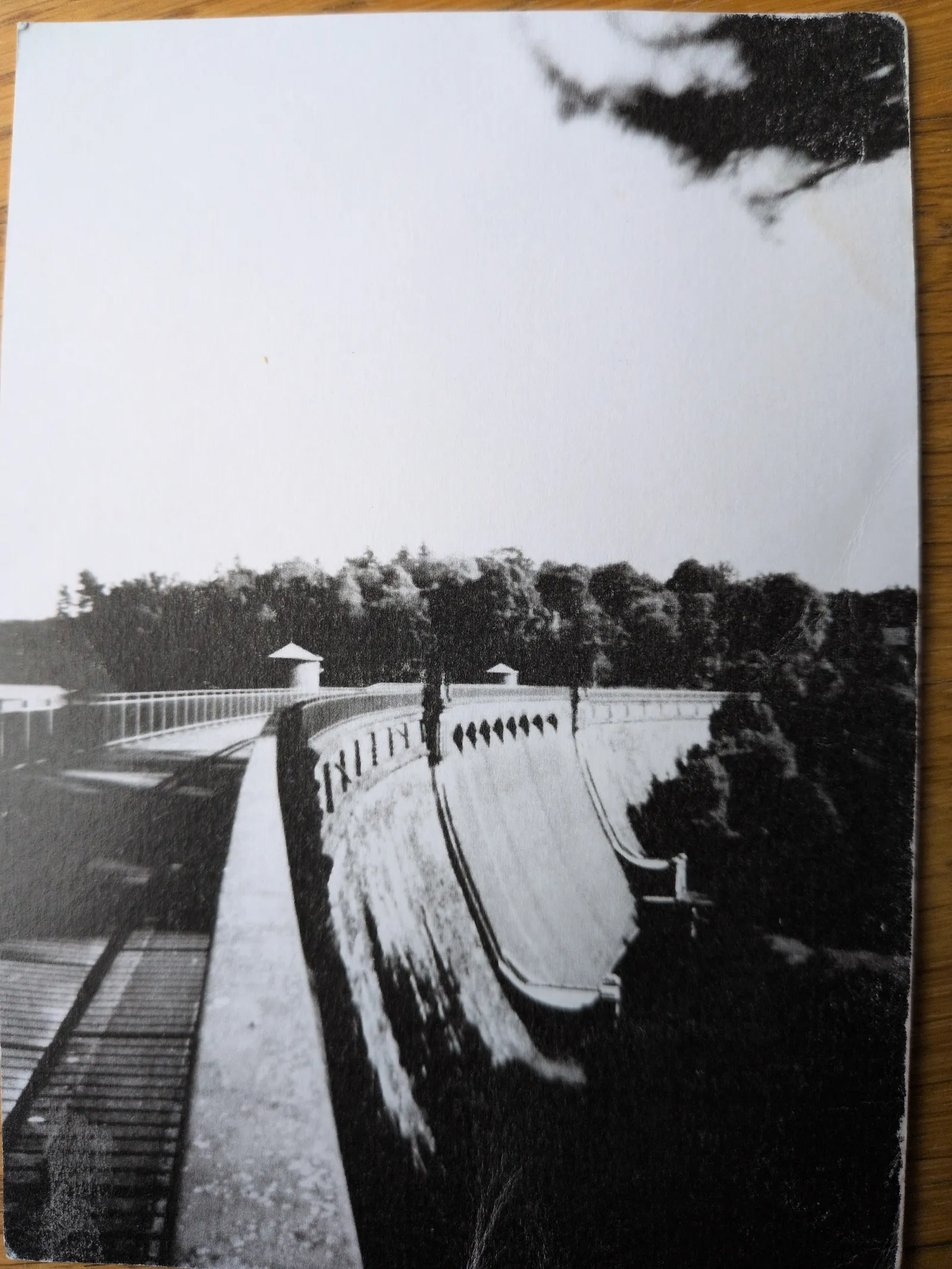 Ein Schwarz-Weiß-Foto zeigt eine geschwungene Talsperrenmauer mit einem Gehweg und Geländer, dahinter dichte Bäume unter hellem Himmel.