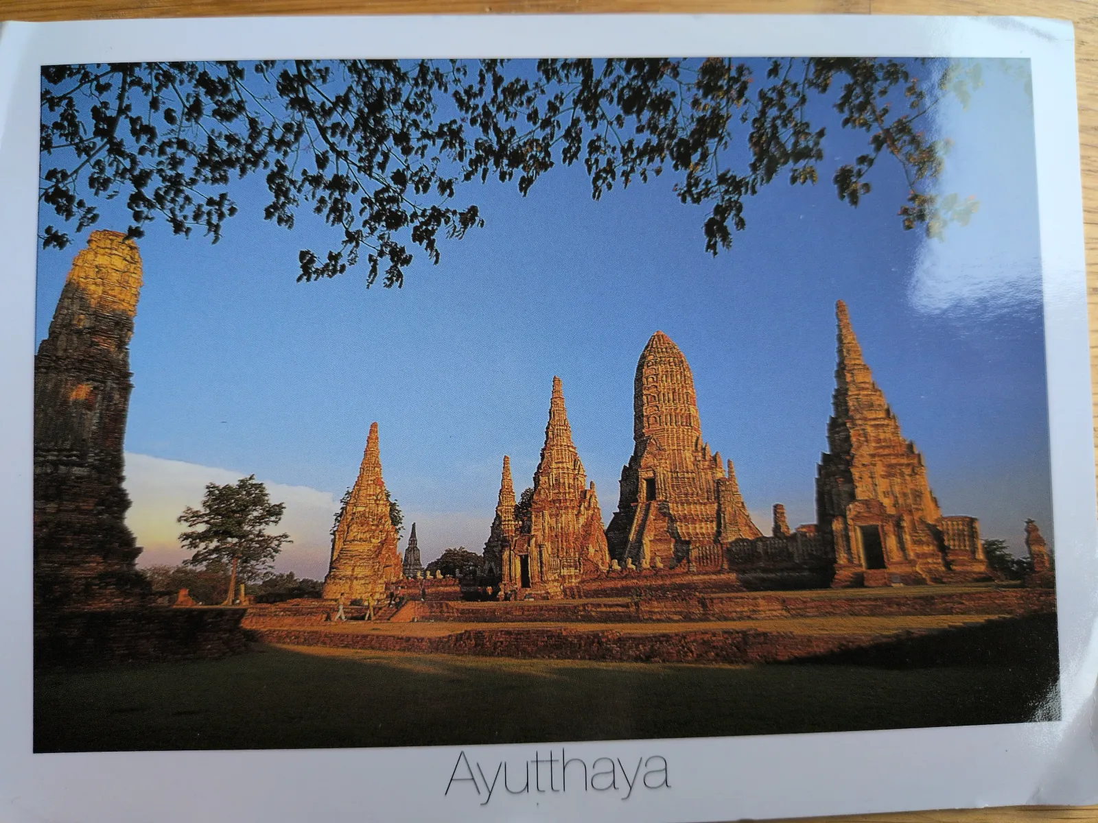 Mehrere hohe, goldbraune Tempelruinen ragen im warmen Licht der Abendsonne unter einem blauen Himmel auf, mit dunklen Ästen im oberen Bildbereich.