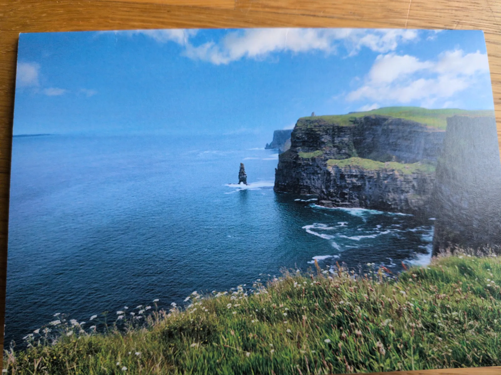 Eine weite Küstenlandschaft zeigt hohe, grüne Klippen, einen markanten Felsen im blauen Meer und blühendes Gras im Vordergrund unter einem bewölkten Himmel.