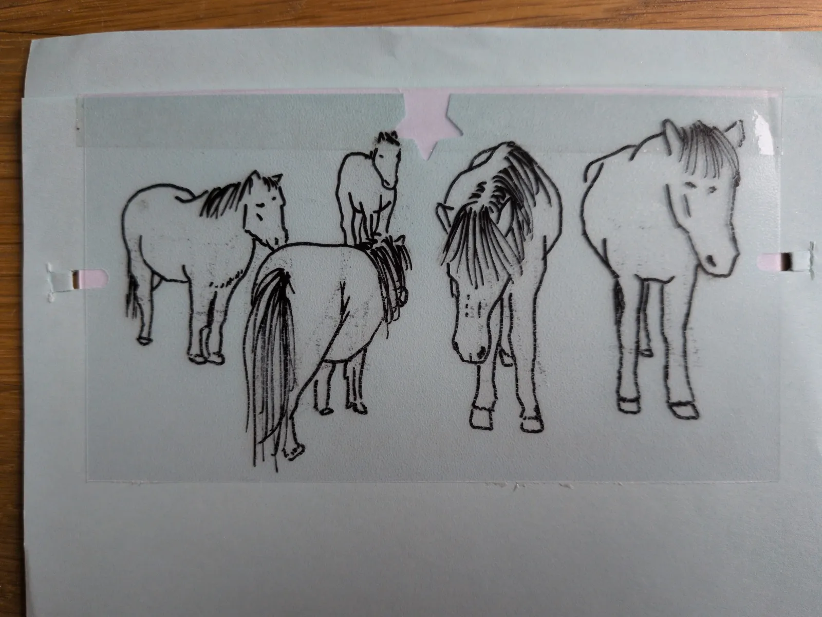 Auf einem hellblauen Blatt Papier sind fünf einfache schwarze Strichzeichnungen von Pferden zu sehen.