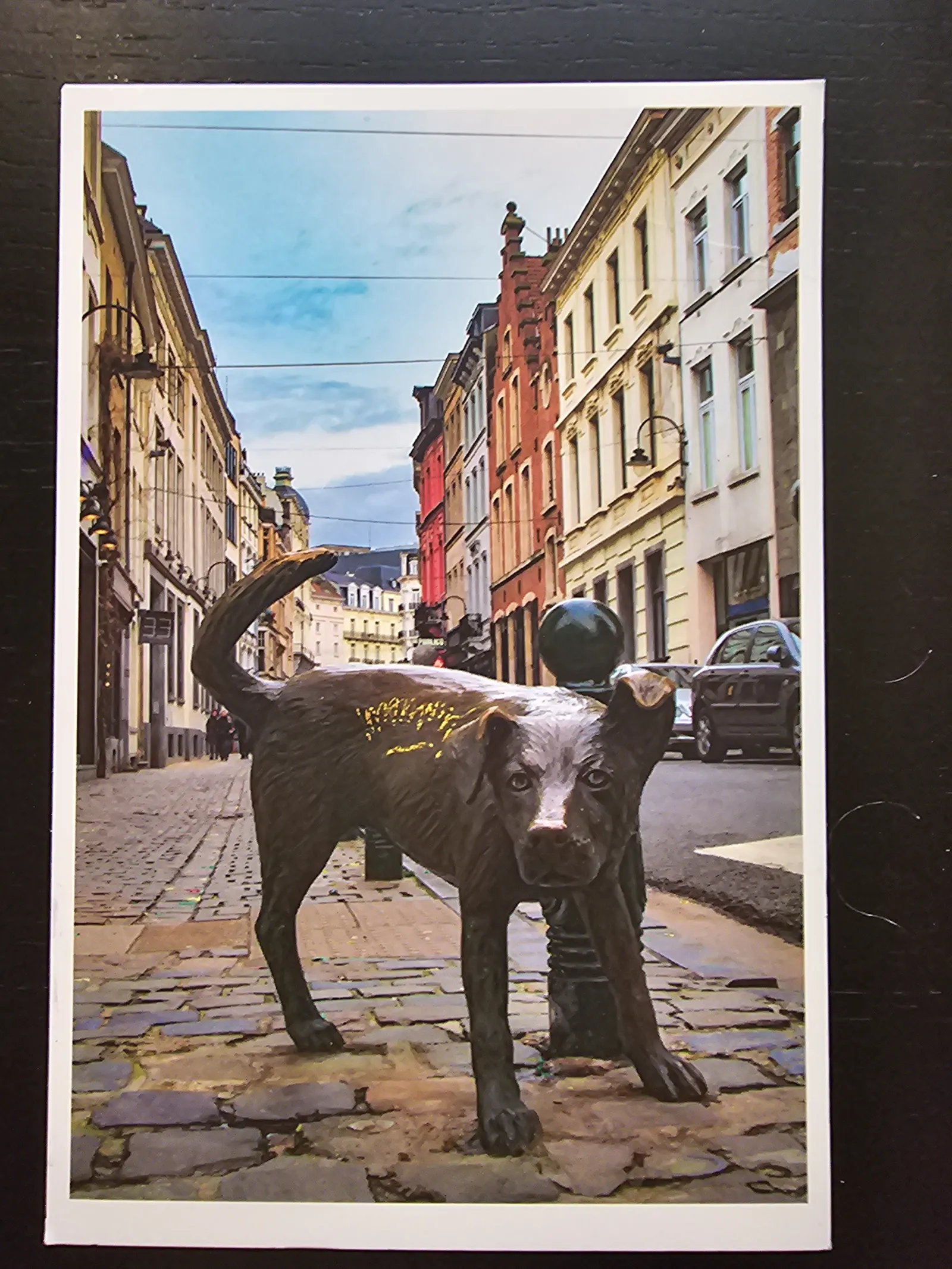 Eine Bronzestatue eines Hundes mit glänzendem Rücken, der ein Bein an einen Pfahl hebt, steht auf einem Kopfsteinpflasterweg vor bunten historischen Gebäuden.