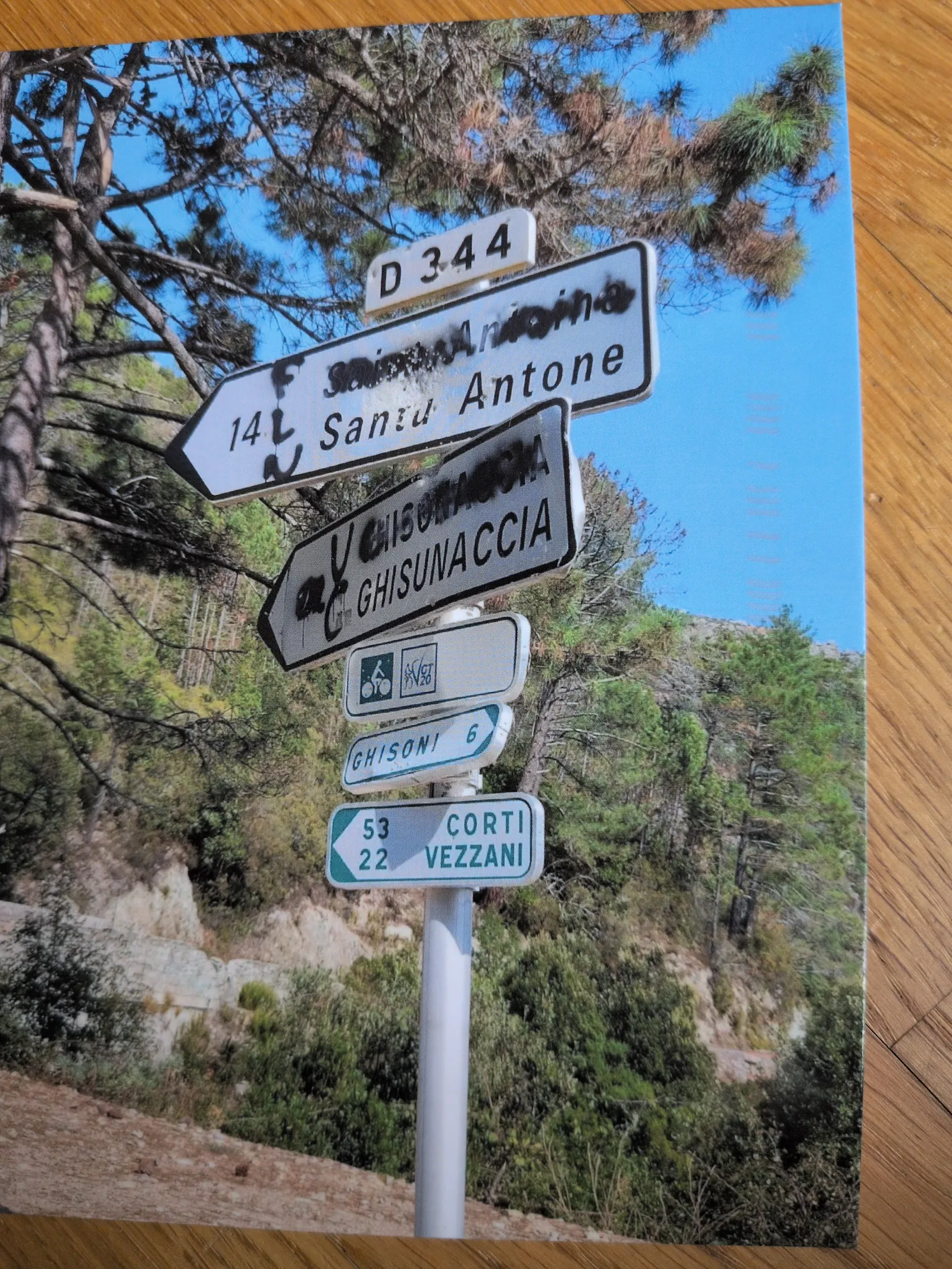 Ein weißer Wegweiser mit mehreren Pfeilschildern zu Orten und Entfernungen, teilweise mit Graffiti, steht in einer bewaldeten Landschaft unter blauem Himmel.