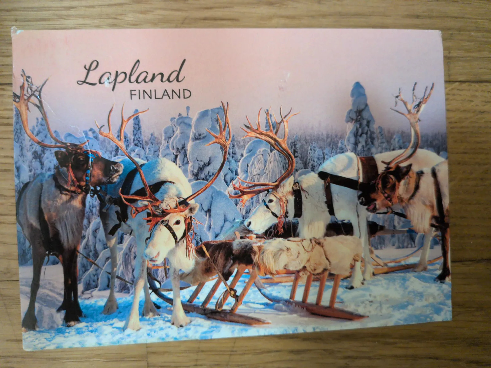 Mehrere Rentiere stehen in einer verschneiten Winterlandschaft, einige sind mit Geschirren und Schlitten ausgestattet, unter dem Schriftzug "Lapland FINLAND".