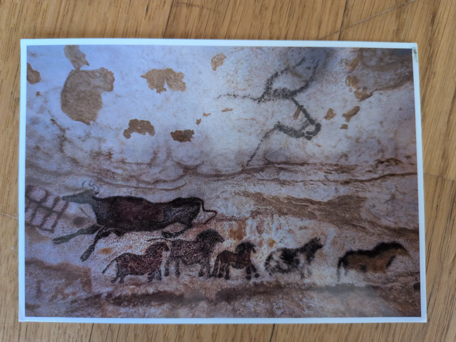 Ein Höhlengemälde zeigt eine Herde Pferde in dunklen Erdtönen auf einer hellen Felswand, mit einem großen, springenden Tier links und kleineren in einer Reihe darunter.