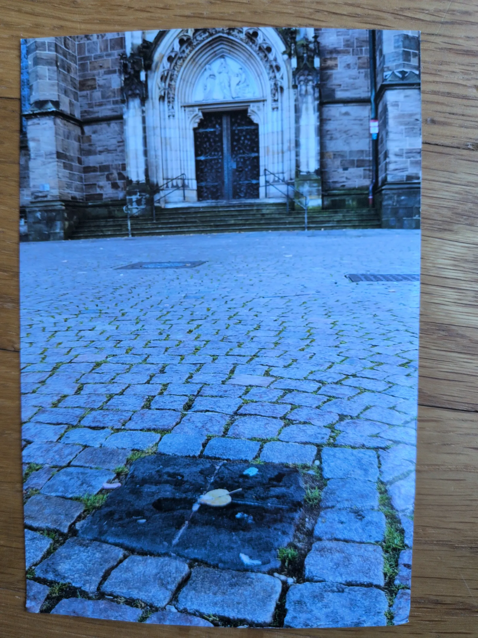 Ein gepflasterter Platz mit einem Blatt im Vordergrund führt zu einem großen, steinernen Kirchenportal mit dunklen Türen und Stufen.