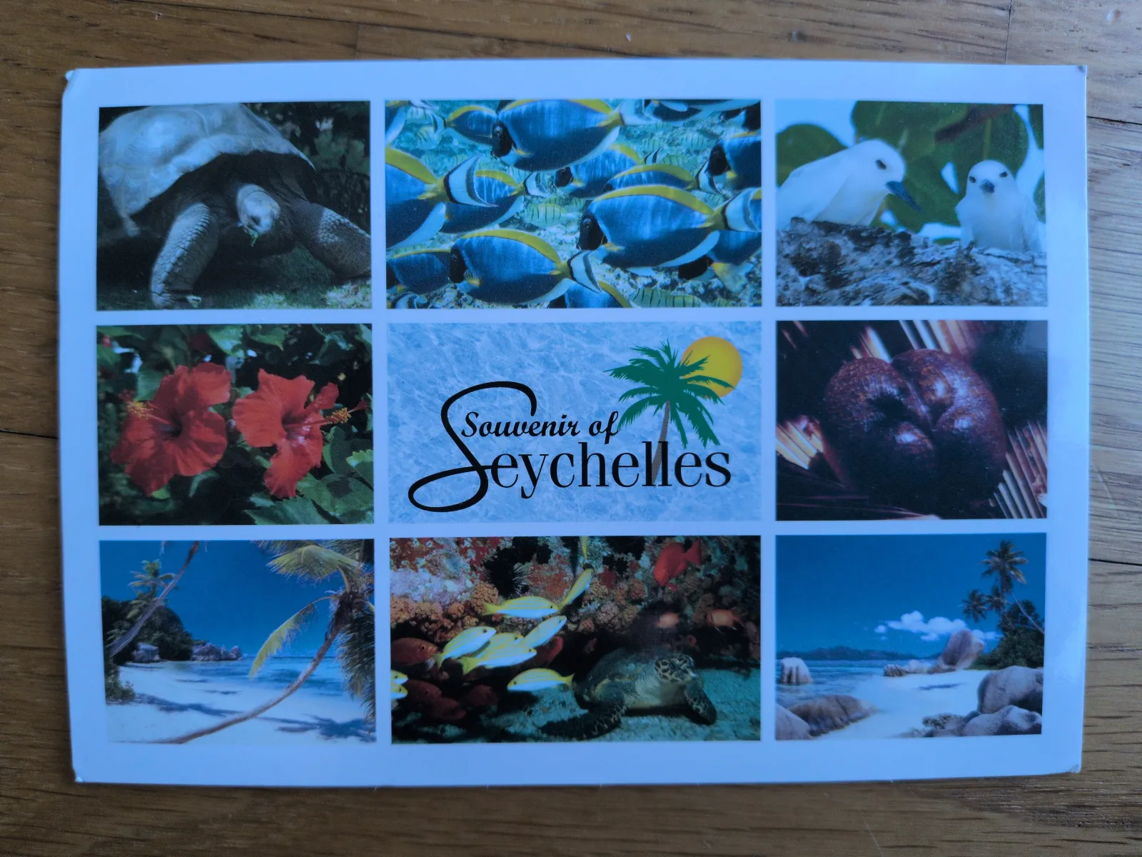 Eine Postkarte mit neun Feldern zeigt typische Motive der Seychellen: Strände, Tiere, Pflanzen und den Schriftzug "Souvenir of Seychelles".