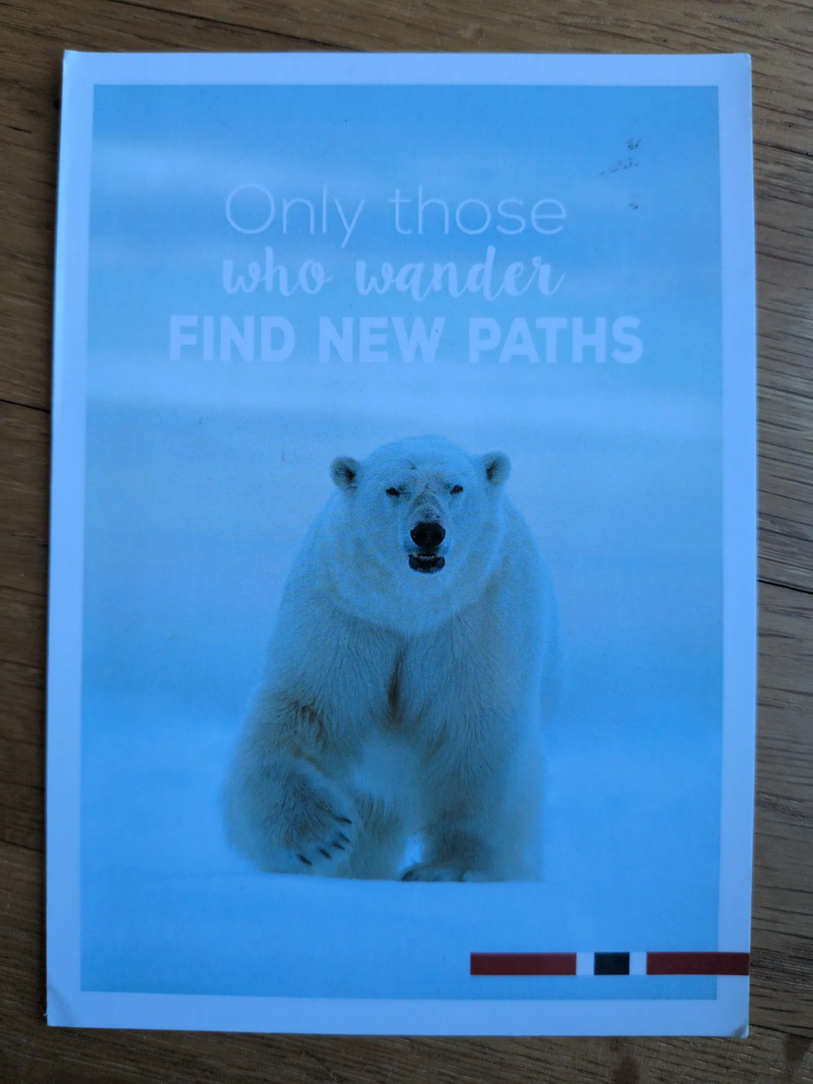 Ein Eisbär steht in einer hellblauen Schneelandschaft, darüber der englische Text: "Only those who wander FIND NEW PATHS".