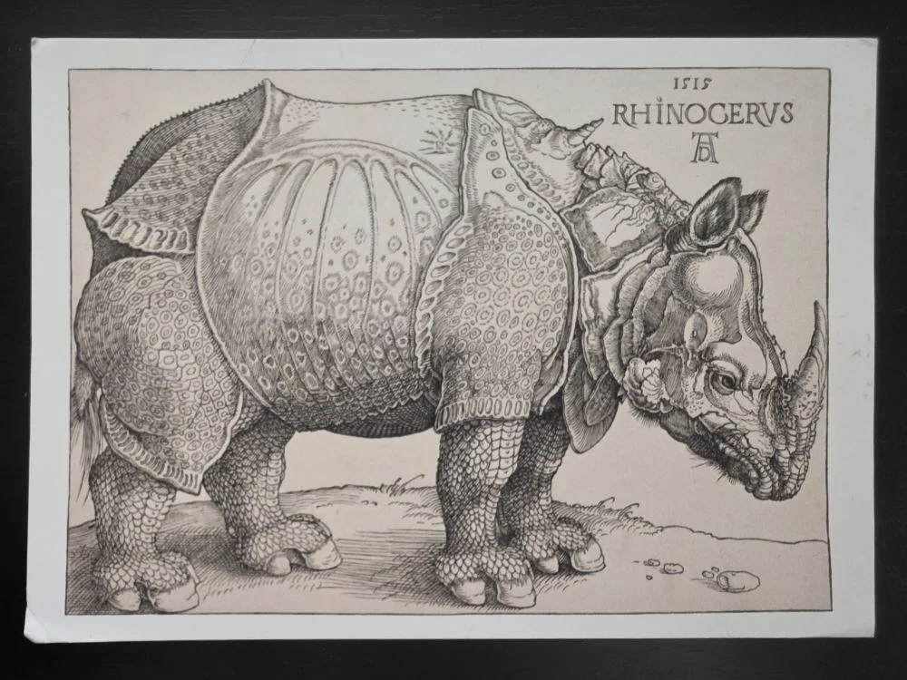 Ein detaillierter Stich zeigt ein Nashorn im Profil, dessen Haut wie eine kunstvolle Rüstung aus Platten und Schuppen wirkt.