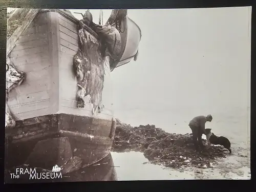 Ein Schwarz-Weiß-Foto zeigt ein Schiff mit hängenden Tierfellen und einen Mann mit Hund auf unebenem Gelände.
