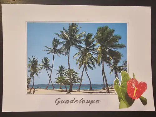 Das Motiv zeigt einen tropischen Strand mit Palmen und blauem Meer, darunter der Schriftzug "Guadeloupe", rechts unten ist eine rote Anthurium-Blume zu sehen.