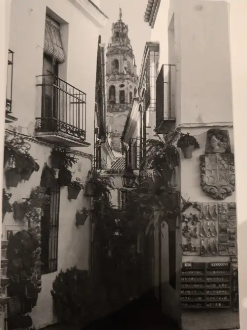 Schwarz-Weiß-Aufnahme einer engen, pflanzenbewachsenen Gasse zwischen weißen Häusern mit Balkonen, die auf einen hohen Glockenturm zuläuft.