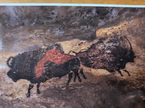 Eine Höhlenmalerei zeigt zwei dunkle Bisons auf einer braun-grauen Felswand, wobei der linke Bison eine rötliche Zeichnung auf dem Rücken hat.