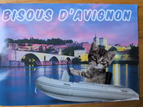 Ein getigertes Kätzchen steuert ein Schlauchboot auf einer Postkarte mit der beleuchteten Pont d'Avignon und der Stadtkulisse im Hintergrund, darüber steht die Aufschrift "BISOU D'AVIGNON".