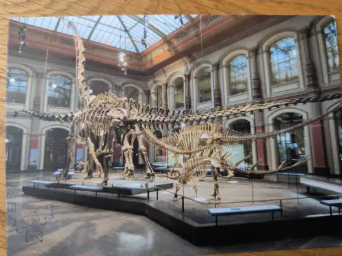 In einem großen Museumssaal mit Glasdach sind mehrere Dinosaurierskelette ausgestellt, darunter ein riesiger Langhalsdinosaurier und kleinere Exemplare.