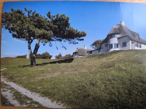 Ein weißes Haus mit markantem Reetdach steht auf einem grünen Hügel, daneben ein großer Baum und ein Feldweg im Vordergrund.