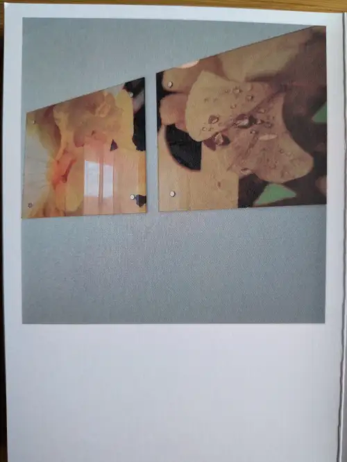 Zwei rechteckige Bilder mit Nahaufnahmen von gelb-orangen Blüten, teilweise mit Wassertropfen, sind an einer hellgrauen Wand montiert.