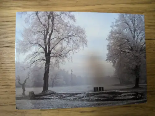 Eine frostige Winterlandschaft mit kahlen, von Raureif überzogenen Bäumen und einem hellen Feld.