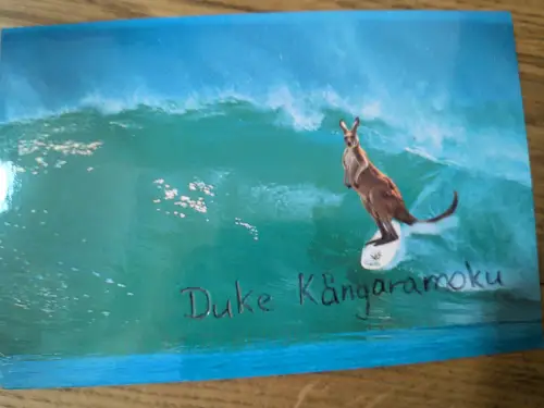 Ein Känguru surft auf einer großen Welle, darunter steht der Schriftzug „Duke Kängaramoku“.
