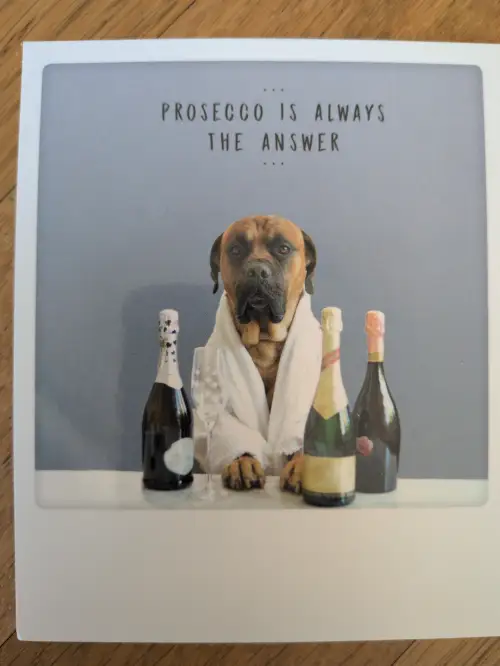 Ein großer brauner Hund im Bademantel sitzt hinter einem Tisch mit drei Flaschen Sekt und einem Glas, darüber steht der Text "PROSECCO IS ALWAYS THE ANSWER".