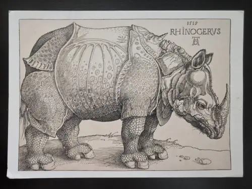 Ein detaillierter Stich zeigt ein Nashorn im Profil, dessen Haut wie eine kunstvolle Rüstung aus Platten und Schuppen wirkt.